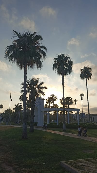 This image captures a sunset scene in Yenişehir, Turkey, featuring a park-like setting with numerous palm trees silhouetted against a softly clouded sky. The sun is low on the horizon, casting a warm glow that is visible through the trees and illuminating the clouds.
In the foreground, a lush green lawn leads to a paved pathway. Several palm trees of varying heights are scattered throughout the scene, with one particularly tall, slender palm tree standing prominently on the left side of the image.
Further into the park, a white architectural structure with columns and arches is visible. Behind this structure, more palm trees create a dense backdrop.
On the pathway, a small group of people are seated on what appear to be benches or low platforms. They are casually interacting, suggesting a relaxed atmosphere. One person is riding a small wheeled vehicle.
A flag pole with a flag is visible on the left side of the image, near the entrance to the park. The overall mood is peaceful and serene, typical of a late afternoon or early evening in a pleasant outdoor location. There is no discernible text visible in the image.