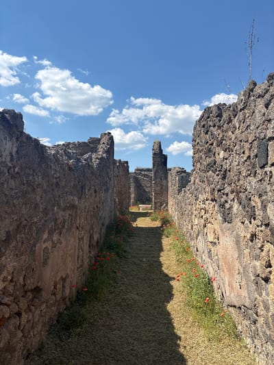 The image shows a view down a narrow passage formed by two ancient walls. The walls are constructed of rough, dark stone and show signs of age and weathering. In the passage, there is short grass and red flowers growing along the base of the walls. In the distance, partially obscured by the walls, stand other ruins of what appear to be columns. The sky above is bright blue with scattered white clouds. The perspective makes the scene seem tilted. This appears to be a street in the ruins of Pompei, Italy.