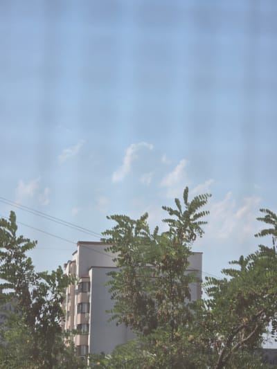 The image captures a view of apartment buildings partially obscured by lush green trees in Chișinău, Moldova. The sky above is a pale blue with scattered white clouds, suggesting fair weather. Several power lines stretch horizontally across the frame, adding an urban element to the natural foliage. The apartment buildings appear to be modern, with multiple stories and visible windows, hinting at a residential area within the city. The trees, with their dense foliage and some seed pods, suggest it's likely late spring or summer. The overall scene depicts a common urban landscape where nature and architecture coexist.
