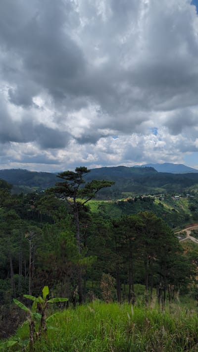 The image captures a panoramic view of a lush, verdant landscape in the city of Tu Póh, Vietnam, under a dramatic, cloud-filled sky. The foreground is dominated by tall, dense green grass and several banana plants with broad leaves. Behind this, a cluster of pine trees rises, with one distinctive, older pine tree positioned prominently in the center-left of the frame, its branches spread wide.

Beyond the immediate trees, the landscape unfolds into rolling hills covered in more pine trees and other greenery. Scattered throughout the mid-ground are signs of human habitation, with small clusters of buildings visible in the distance, nestled amongst the hills. A dirt road or pathway winds through the landscape on the right side of the image. In the far distance, layers of mountains fade into a hazy blue, creating a sense of depth. The sky is a prominent feature, filled with heavy, gray-to-white clouds, with occasional glimpses of blue sky, suggesting a possibly overcast or approaching weather system. There are no people or animals visible in the scene. The overall impression is one of a serene, natural environment with subtle human presence.