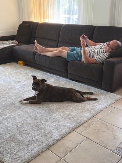 In a residential interior, a man wearing glasses, a striped t-shirt, and blue shorts reclines on a large, dark brown sectional sofa. He is holding a smartphone in his hands, appearing to use it. His legs are extended and crossed. A brown brindle dog with white markings on its chest and paws lies on a light-colored shag rug in front of the sofa. The dog is facing towards the left of the frame, looking at the camera. The room is furnished with a sofa and a rug, and natural light streams in from a window with sheer curtains in the background. A small yellow toy is visible on the rug near the sofa. The floor appears to be tiled. There is no indication of Baloži, Latvia in the image.