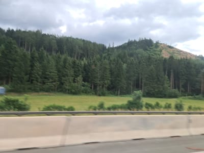 The image shows a blurry, horizontal view of a dense forest on a hillside under a cloudy sky. A light-colored concrete barrier, typical of a highway or roadside, is in the foreground, with a metal railing above it. Beyond the barrier, a grassy field stretches towards the forest, which covers the slope of the hill. Part of the hillside to the right appears to have been cleared of trees, exposing brown earth. The scene is consistent with a view from a moving vehicle on a road that runs alongside a wooded area in Leoben, Austria.