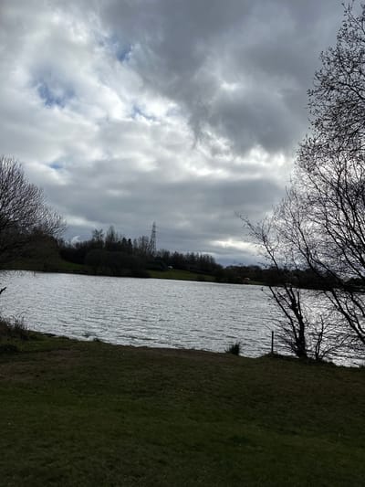 The image depicts a body of water, likely a loch or large pond, adjacent to a grassy bank. Overcast skies dominate the scene, with grey and white clouds interspersed with patches of blue. Silhouetted tree branches frame the top of the view. A line of trees and a distant electricity pylon are visible on the opposite bank. The photo appears to have been taken in a natural area, likely a park or green space. While the exact location within Dunfermline, United Kingdom is not specified, the landscape is typical of that region. There are no people visible in the image.