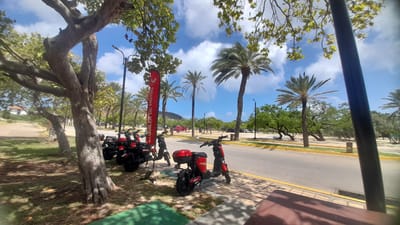 The image shows a street scene in Pedro González, Venezuela, on a sunny day with scattered clouds. In the foreground, on the left, there is a large, gnarled tree with visible bark texture and light green leaves. To the right of the tree, several red electric scooters are parked in a row along a sidewalk paved with interlocking bricks. One scooter in the foreground is prominent, featuring a red storage box on the back and a white logo on its side. A red vertical banner with white text that reads "ALQUILER DE MOTOS" (Motorcycle Rental) stands behind the scooters.
Beyond the scooters and sidewalk, there is a paved road with yellow markings. Palm trees and other trees with dense green foliage line the road and a sandy area. In the background, a lighthouse is visible on a hill. The overall environment suggests a tropical or subtropical location. There are no people clearly visible in the image. The scene appears to be an outdoor rental service for electric scooters.