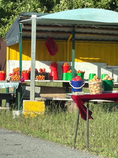 A vertical, eye-level shot shows a roadside stand selling produce. The stand has a light blue corrugated metal roof and bright yellow wooden siding. A deep red cloth is draped over the right side of the stand. In front of the stand, various buckets are filled with produce. On the left, a red fabric bag hangs from a hook. The ground in front of the stand is covered in green grass, and to the right is an asphalt road. The time of day appears to be sunny, with distinct shadows. A black ribbed surface with white numbers is visible on the lower left, with the partial text "9380344329". The scene is likely set in a rural or semi-rural area given the natural elements and roadside stand.