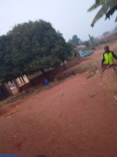 An unpaved, reddish-brown road dominates the foreground, leading into a somewhat blurred distance. A large tree stands to the left of the road, with the corner of a building just visible next to it. A male figure wearing a bright yellow vest stands to the right of the road. In the background, a car is visible. The sky is overcast, contributing to the image's muted, almost gray tone. A few palm leaves can be seen in the top right corner of the image.