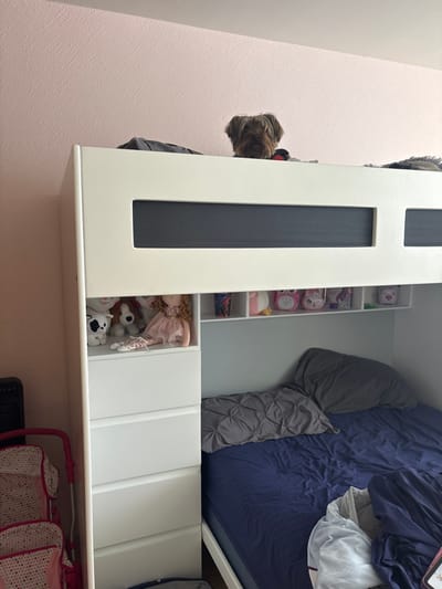The image displays an interior room, likely a bedroom, focused on a white bunk bed. A Yorkshire Terrier dog is visible atop the upper bunk, with its head and upper torso peering over the edge of the bed frame, facing forward. The upper bunk's frame incorporates a dark grey horizontal panel. The lower bunk is made with a navy blue fitted sheet, a rumpled grey duvet, and two grey pillows. Integrated into the bunk bed structure on the left side is a white dresser with multiple drawers and an open shelving unit above the lower bunk. This shelf displays a light pink doll, several plush toys (including a black and white dog and a brown dog), and various small items such as cartoon-themed cups, a pink owl figurine, a white pig figurine, a white unicorn figurine, and other small white and green objects. To the far left, a portion of a black, vertical appliance is visible. In the lower left foreground, part of a pink and white patterned play stroller is present. The room's background wall is a textured light pink. The specific location within León, Mexico, cannot be determined from the visual information provided.