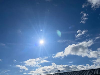 The image shows a bright blue sky with scattered white clouds, illuminated by a strong sun. A single seagull stands on a dark, tiled roof in the foreground. The roof appears to be part of a building, with the tiles laid in a patterned fashion. The sun is high in the sky, casting bright rays and creating lens flare effects in the image. The scene is likely a coastal area given the presence of a seagull and the bright, open sky. Morfa Bychan is a village in Gwynedd, North Wales, known for its coastal scenery.