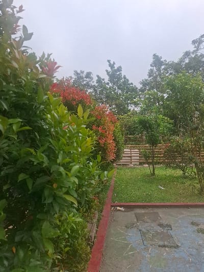 The scene depicts an outdoor garden or park area in Bandung City, Indonesia, under a uniformly overcast sky. The foreground on the left is dominated by dense, vibrant green foliage with new reddish leaf growth. To the right, a worn concrete surface, showing faded blue and white markings consistent with a former activity area, extends. This concrete is bordered by a distinct red curb. Visible on the concrete near the curb is a discarded white plastic bottle and other minor debris. Several square utility covers are embedded within the concrete surface. Beyond the red curb, a strip of somewhat unkempt green grass extends horizontally across the midground. Behind the grass, a rustic fence composed of horizontal wooden or bamboo-like slats is visible. The background features a dense canopy of various trees and shrubs, predominantly green, with interspersed reddish foliage. No individuals or human activity are present within the frame.