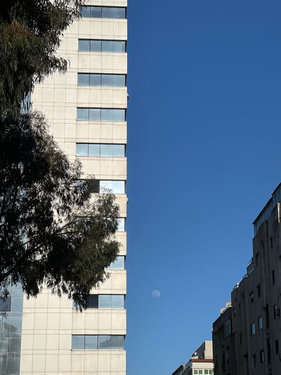 A low-angle daytime shot depicts a clear blue sky framed by two buildings. The top right corner shows a gray, multi-story building with numerous rectangular windows. Below the sky is the top half of a light gray building with vertical, rectangular windows. In front of this building are dark green trees, partly obscuring the structure. A faint, pale circle, likely the moon, is visible in the upper-center of the sky. The buildings suggest an urban setting. While the prompt mentions Tanger طنجة, Morocco, there is no independent information in the image to confirm or deny this location.