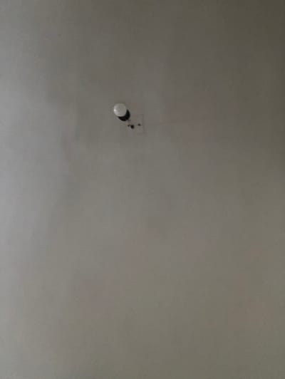 The image shows a close-up, low-angle view of a white ceiling in what appears to be an indoor environment, possibly a residential or commercial space. Mounted on the ceiling is a small, white, cylindrical object, likely a smoke detector or a small light fixture. The object is partially obscured by a thin, dark wire or cable that extends from it and attaches to the ceiling. There are some dark marks or smudges on the ceiling around the object. The lighting is even and diffused, suggesting ambient light rather than direct illumination. The scene is devoid of any people or activity. No specific geographical markers are visible to indicate a location within l'Hospitalet de Llobregat, Spain. The overall impression is one of an ordinary, unremarkable ceiling fixture.