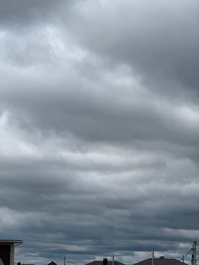 The image shows a cloudy sky above a residential area, likely in Murom, Russia, given the provided context. The sky is filled with dense, gray clouds that suggest an overcast or impending rainy weather. Below the sky, the roofs of several houses are visible, some with chimneys. Power lines and utility poles are also present, indicating an urban or suburban setting. The overall scene is muted in color due to the heavy cloud cover, with the predominant tones being various shades of gray and dark brown from the roofing materials. No people are visible in the frame. The composition is dominated by the sky, with the rooftops forming a lower horizontal band across the bottom of the image.