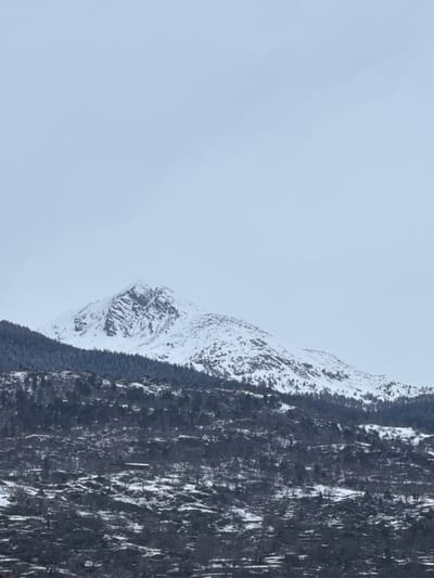 The image depicts a multi-layered, snow-covered mountainous landscape under an overcast, pale grey-blue sky, indicating winter conditions in the vicinity of Visp, Switzerland. No individuals, animals, or direct actions are observable.

The upper third of the frame is dominated by a prominent, jagged mountain peak, entirely covered in white snow, displaying discernible rocky contours beneath the snowpack.

Below this primary peak, a band of dark coniferous forest, dense in parts and more scattered in others, extends across the mid-section of the mountain. Patches of snow are visible among these trees, particularly on the higher slopes. Several small, dark-roofed structures, consistent with chalets or houses, are sparsely distributed along this forested and snow-dusted mid-slope.

The lower half of the image features a darker, rugged terrain consisting of rocky slopes and numerous deciduous trees, most of which are bare of leaves, indicating dormancy. These lower slopes are partially covered with patches of snow, accentuating the undulating ground. Additional small, dark-roofed buildings are scattered across this lower, more sparsely vegetated area. The overall lighting is diffuse, characteristic of an overcast day.
