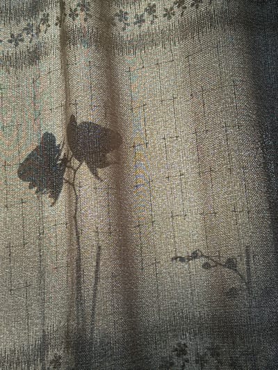 The image depicts a close-up view of a sheer, textured curtain, possibly made of linen or a similar fabric, illuminated by natural light. The fabric has a woven pattern with subtle variations in color, showing threads of beige, gold, and muted blues and greens. There are areas of light and shadow cast upon the curtain, creating a dappled effect.
Prominently featured in the left half of the image is the dark silhouette of a moth or butterfly, its wings spread as if in flight or resting. The moth's body and wing details are visible as a dark shadow against the lighter fabric. To the right of the moth, a second, larger shadow is present, also dark and indistinct, possibly representing another insect or an object casting a shadow. There are also other faint, abstract shadows and patterns visible throughout the fabric.
The overall impression is one of dappled light and shadow playing across a textured textile, with the shadows of insects adding a focal point. The image is devoid of any recognizable landmarks, cityscapes, or contextual elements that would allow for its specific location to be determined within the city of The Hague, Netherlands. The description is purely based on the visual information presented in the photograph itself.