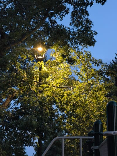 The image shows a street lamp illuminating a tree at dusk. The sky is a deep blue, indicating it is either early evening or late evening. The street lamp has a traditional design with a pointed top and is mounted on a pole. The leaves of the tree are a vibrant green, catching the light from the lamp. In the foreground, there are parts of a playground structure, including dark green poles and a metal railing. The scene appears to be in a public park or recreational area. There are no people visible in the image. The image does not contain enough information to determine the specific location within Louisville, United States of America.