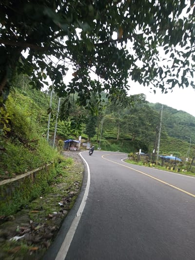 A winding asphalt road with a yellow dividing line curves through a lush, green landscape. A motorcyclist navigates the bend, passing a small roadside stall with a blue tarp roof. The scene is framed by a canopy of dense foliage in the foreground, while a verdant, terraced hill rises in the background, dotted with utility poles. A low stone wall runs along the road's edge, covered in moss and vegetation.