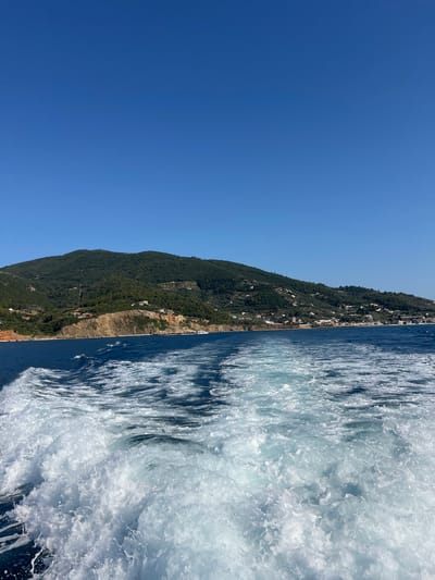 The image depicts a view from a boat moving through the Aegean Sea off the coast of Skopelos, Greece. In the foreground, white foamy wake churns the deep blue water. The middle ground shows the clear blue sea stretching towards a verdant, hilly coastline. Along the slopes of the hills, small clusters of white buildings, characteristic of Greek island architecture, are visible. The coastline is a mix of rocky outcrops and vegetated slopes, with trees and olive groves dotting the landscape. The background is dominated by a clear, bright blue sky. The scene conveys a sense of movement and a coastal vacation atmosphere.