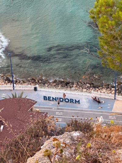 This is an overhead, eye-level view of a seaside promenade in Benidorm, Spain. The image captures a stretch of the coastline with the turquoise sea on the left and the promenade on the right, bordered by rocks. The water is calm with gentle waves lapping at the shore.

Several people are visible on the promenade. Two individuals are seated on a bench, facing away from the camera, appearing to be enjoying the view. Further down the promenade, another person stands, looking out towards the sea. A white seagull is perched on the edge of the promenade, near a cluster of dry vegetation.

The promenade itself is paved with a light blue surface and marked with white lines, resembling a running track. Large, dark blue letters are painted on the promenade, spelling out "BENIDORM". There are also smaller white painted figures of people walking, indicating pedestrian pathways.

The scene suggests a warm, sunny day, likely late morning or early afternoon, given the brightness and shadows. The vegetation on the right side of the image is dry and sparse, typical of a Mediterranean climate. A brown, reddish roof of a building is visible in the lower right corner, partially obscured by dry plants. A blue lamppost is also present near the water's edge. The overall mood is tranquil and leisurely, capturing a moment of everyday life by the sea in a popular tourist destination.
