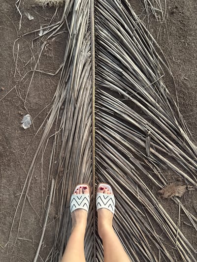 This is a top-down, eye-level medium shot of a person's feet wearing white slip-on sandals with a black zig-zag pattern, standing on a bed of dry, fallen palm fronds. The fronds are laid out horizontally across the frame, creating a textured surface with a light and dark pattern due to the play of light and shadow. The ground beneath the fronds appears to be dark soil, with smaller dry twigs and debris scattered around.
The person's feet are positioned on the right side of the frame, with the toes pointing slightly upwards. The toenails are painted a dark red color. One foot is slightly ahead of the other. The lighting suggests it is daytime, likely outdoors, with diffused sunlight creating subtle shadows. The scene evokes a natural, possibly tropical environment, consistent with the location context of Choeng Thale, Thailand. There are no visible signs of text in the image. The overall mood is relaxed and casual.