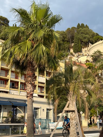 A man is cycling on a street in Nice, France, near the Promenade des Anglais. He is wearing a blue t-shirt, black shorts, sunglasses, and a backpack. He is riding a black bicycle. A large palm tree is in the foreground, with its trunk supported by wooden beams. In the background, there is a yellow building with balconies, a hillside with stairs and trees, and other palm trees. Several people are walking on the sidewalk and in the background. The sky is partly cloudy. The scene is illuminated by sunlight.
