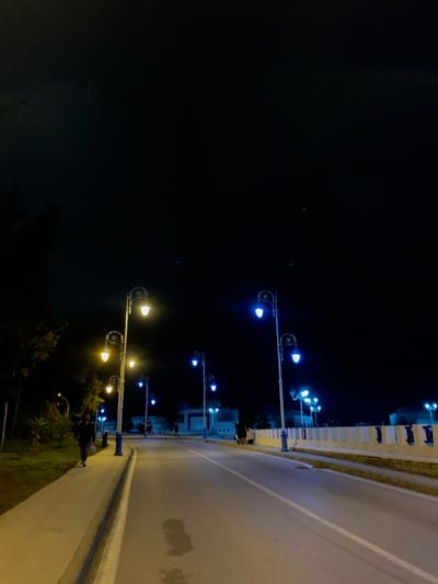 A dimly lit night scene shows a roadside with several streetlights. Some emit a warm yellow glow, while others are a cool blue. A dark body of water, possibly a lake or river, is visible on the left, contrasting with the brightness of the road and buildings on the right. Trees and grass line the bottom edge of the scene, further emphasizing the division between the natural darkness and the artificial light of the built environment.