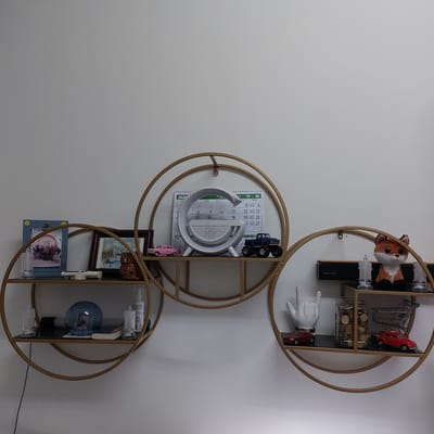 The image depicts a modern decorative shelving unit mounted on a white wall. The shelving unit is composed of three circular frames with interconnected shelves. On the shelves, various decorative items and objects are displayed.
On the top shelf, visible on the right side of the central circle, there is a calendar. Centered within the largest circle is a white speaker-like device with a curved handle. To the left of the central device on the top shelf, there is a pink toy car. To the right of the central device, there is a dark blue toy monster truck.
On the shelf below the central circular frame, on the left side, there is a framed photograph of a group of people. To the right of this photograph, there is another framed picture depicting a winter scene. In front of the winter scene picture, there is a brown owl figurine.
On the bottom shelf, on the left side, there are two clear candle-like objects with LED lights. In the center, there is a blue glass sphere with a small framed picture inside, and next to it, a book and a white bottle with a dispenser.
On the right-most circular shelf, the top shelf has a stuffed fox toy. Below the fox, on the shelf, there is a white hand-shaped object, a glass jar filled with coins, a miniature shopping cart, and two red toy cars.
The overall scene suggests a home or office environment, likely in Rishon LeZion, Israel, given the context of the location. The items displayed are a mix of decorative and personal objects, indicating a sense of curated display. The lighting suggests an indoor setting, possibly illuminated by artificial light.