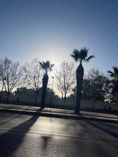 The image captures an outdoor street scene in Mechouar Fes Jdid, Morocco, characterized by strong backlighting from a low sun positioned in the upper-middle left, creating a bright glare and lens flare. The sky is clear, transitioning from light blue at the top to a bright white/yellow around the sun.
In the foreground, an asphalt road with faded white lane markings runs horizontally across the bottom. Long, dark shadows, primarily from trees and potentially streetlights, stretch diagonally across the road from left to right. The asphalt surface reflects sunlight, particularly in the glare areas.
The midground features a paved sidewalk bordering the road, separating it from a light-colored, crenellated wall, likely part of a historic structure. Two tall palm trees with dark, dense fronds stand silhouetted on the sidewalk or verge; the palm tree on the left is directly in front of the sun's glare. A third palm tree is partially visible on the far right. Behind these, several bare-branched deciduous trees are silhouetted against the bright background. A streetlight pole is visible between the two main palm trees.
Three human figures are present: one individual in dark clothing is walking on the sidewalk near the left end of the wall, moving rightward. Two other individuals are seated or resting against the wall on the right side of the image, appearing as dark silhouettes.
The background consists of the continuous crenellated wall and a dense line of trees beyond it.
