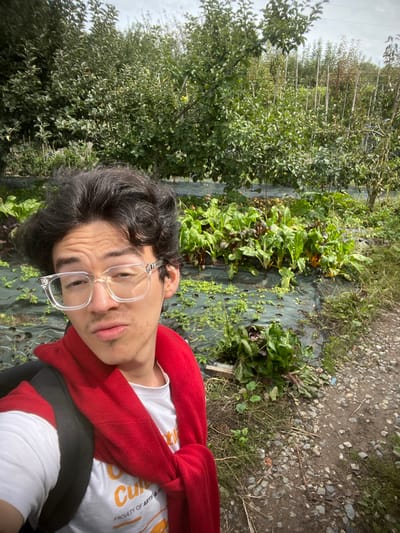 A close-up, eye-level image depicts a single individual posing for a selfie in an urban garden or allotment located in Anderlecht, Belgium. The subject, a person with dark, curly hair and clear, rectangular-framed eyeglasses, occupies the left foreground, looking directly towards the camera with a slight pouting expression. They wear a white t-shirt with partially visible orange text reading "Cultu" and "FACULTY OF ARTS & H", a red sweater tied around their shoulders, and a dark backpack strap on their left shoulder. The background reveals cultivated rows of leafy green and red-stemmed plants, consistent with chard or similar vegetables, growing through dark plastic mulch sheeting. Beyond these beds, mature trees with green foliage and younger plants supported by vertical wooden stakes are visible. A gravel and dirt path runs along the right side of the frame. The sky is overcast.