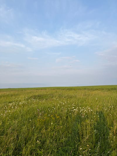 A wide-angle shot captures a vast, grassy field dotted with small white wildflowers and some purple and yellow blooms. The field slopes gently upwards towards a distant horizon where it meets a light blue sky with wispy white clouds. The grass is tall and appears dense in some areas. In the far distance, a tiny dark speck in the sky may be a bird. The scene is likely located in a rural area, potentially in or near Kutlu-Bukash, Russia, given its expansive natural landscape. There are no people or man-made objects visible in the frame.