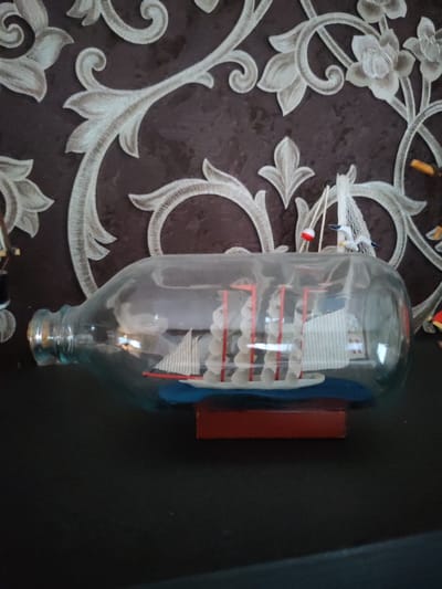 A ship in a bottle sits on a dark surface, possibly a shelf or table, with a patterned wallpaper in the background. The bottle is made of clear glass and lies horizontally, revealing a miniature sailing ship inside. The ship has white sails with red masts and a blue hull. Two small model seagulls are perched on top of the bottle, near the neck, along with a red and white buoy. The wallpaper behind the bottle features an ornate, light-colored floral or scroll pattern against a darker, textured background. The scene is well-lit, highlighting the details of the ship and its enclosure. No people are visible in the image. There is no information available about the location in the city of Bol'shie Mkhi, Russia.