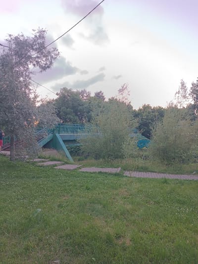 This is a daytime, outdoor, eye-level, vertical, full shot photograph taken in Mytishchi, Russia. The scene is a park with a green bridge crossing over a small creek or ditch. The bridge has a metal railing and a ramp leading up to it. To the left of the bridge, a person wearing a black t-shirt and red shorts is standing on a pathway, possibly taking a photo. The pathway is made of stone pavers and winds through the grass. The bridge itself appears to be covered in graffiti. The sky is overcast with some purple hues, suggesting either dawn or dusk. Lush green trees and bushes surround the bridge and pathway, indicating a summer or early autumn setting. The overall atmosphere is tranquil and natural. There is no visible text in the image.