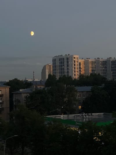 The image depicts a twilight scene in Shushary, Russia, overlooking a residential area. In the upper left quadrant of the sky, a partially illuminated moon hangs against a dusky blue sky. Below, a cluster of buildings forms the urban landscape. To the left, a light-colored apartment building with visible windows is partially visible. In the center and to the right, a series of taller, modern apartment buildings with numerous windows are prominent. The facade of these buildings reflects the warm hues of the setting sun. In the foreground and middle ground, dense green trees obscure much of the lower portions of the buildings. A portion of a supermarket with a green facade and illuminated signs is visible through the trees, along with its rooftop equipment. Several streetlights are also present. The overall impression is of a developing urban environment at dusk.