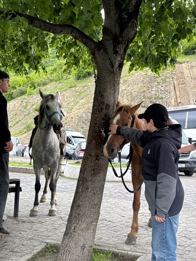 In Shalikiantkari, Georgia, a person in a black baseball cap and a two-toned jacket gently touches the face of a light brown horse. The horse stands next to a thick tree trunk. A gray horse with a saddle stands a few feet away. A person lies on the ground near the gray horse. Vehicles are parked in the background. The ground is paved with gray stone blocks. A grassy hillside and a stone wall can be seen.