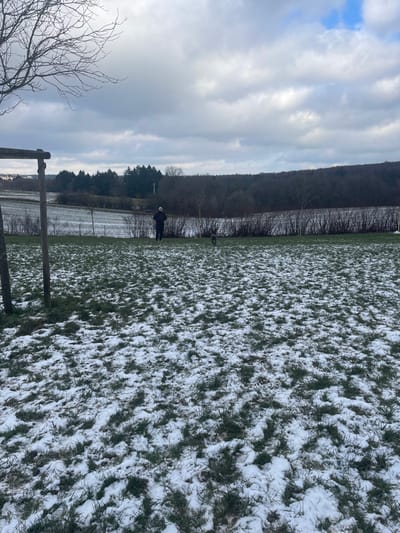 An outdoor scene in Itzig, Luxembourg, depicts a patchy snow-covered grassy field under an overcast sky. In the midground, a lone individual wearing a dark coat and a light-colored beanie walks right of center, facing to the right. A dark, medium-sized dog is positioned a short distance in front of the individual, also moving towards the right. Behind them, a horizontal row of dark, bare shrubs acts as a boundary to a snow-dusted field. Further back, a dense, dark forest line occupies the horizon. Two rustic wooden posts are visible on the far left edge of the foreground. The sky is predominantly grey with heavy clouds, exhibiting some lighter patches towards the upper right.