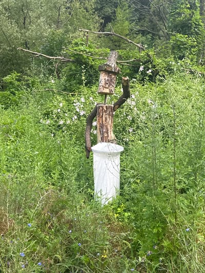 A homemade scarecrow, constructed from logs and branches, stands in a dense, overgrown field of green vegetation in Golyamo Belovo, Bulgaria. The scarecrow's head is a hollowed-out log with a carved smiley face and the number "13" etched into its surface. A white cylindrical object, possibly a trash can or a bird feeder, forms the lower part of the scarecrow's body. The surrounding area is rich with various plants, including tall grasses, wildflowers with small white and pink blossoms, and some scattered blue flowers. The background consists of a dense forest with mature trees. The overall scene depicts a rustic, outdoor setting.