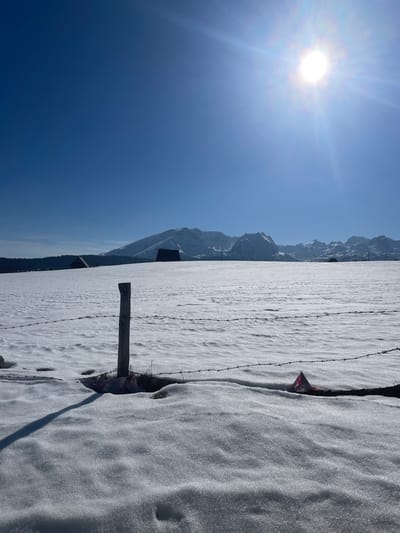 The scene depicts a snow-covered winter landscape in Palež, Montenegro, under a clear, bright blue sky. In the foreground, a wooden fence post stands upright, partially embedded in the snow. Two strands of barbed wire extend horizontally from the post across the lower portion of the image. To the right of the post, a red and white object, possibly a piece of plastic or fabric, is partially buried in the snow. A distinct shadow from the fence post stretches towards the lower left. The midground features an expansive, flat field uniformly covered in snow, with two dark-roofed structures, likely buildings, visible on the left and center-right, appearing low against the snowy horizon. In the background, a range of prominent snow-capped mountains rises. The sun is visible in the upper right quadrant of the sky, emitting bright rays and lens flare, indicating a clear day with strong overhead sunlight. No individuals are present.