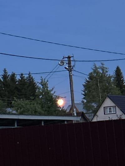 The image depicts an outdoor scene, likely in the city of Московский Литератор Снт, Russia, during twilight or early evening. The sky is a deep blue. In the foreground, a dark reddish-brown corrugated fence runs horizontally across the bottom of the frame. Behind the fence, a row of green trees, including what appear to be coniferous trees and deciduous trees, are visible. A telephone pole with wires and a light fixture stands prominently in the mid-ground, to the left of center. The moon, appearing as a bright, yellowish-orange orb, is visible through a gap in the trees, slightly to the left of the telephone pole. In the background, several houses with pitched roofs are partially visible, with one house on the right featuring a white facade and a rectangular window with dark trim. Power lines stretch across the upper portion of the image.