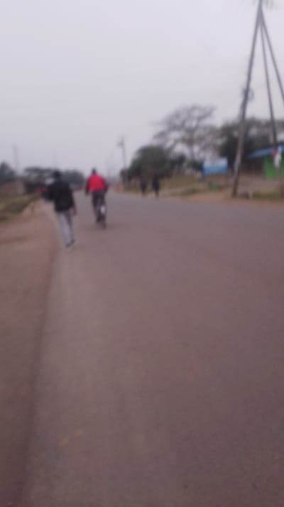 The image depicts a blurry scene on a road. A person is walking on the left side of the road, and another person is riding a bicycle slightly ahead of them. There's a figure walking further down the road. The background includes trees, buildings, and utility poles. The sky is overcast, suggesting either early morning or late afternoon light. The overall image quality is low due to blurriness.