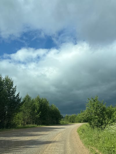 A winding dirt road curves through a wooded landscape under a dramatic sky. The road is composed of gravel and dirt, with dappled shadows cast across its surface from unseen trees. To the left, a dense line of dark green coniferous trees forms a backdrop, with some lighter green deciduous trees interspersed. To the right, a lush green grassy area with scattered white wildflowers borders the road. The sky is a prominent feature, with a mix of bright blue patches and large, heavy grey clouds. The clouds on the right appear darker, suggesting impending rain or a storm. No people or animals are visible in the scene. The image was captured in the city of Malaya Usa, Russia.