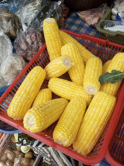 The image displays a market stall in Naung Bo Oe, Myanmar. The central and right foreground is dominated by a red plastic basket holding approximately 18 to 20 de-husked, bright yellow corn cobs. The cobs are arranged irregularly, with some showing trimmed ends where they were detached from the stalk. A small, dark green leaf rests on one of the corn cobs towards the right. In the background, to the left of the corn basket, multiple clear plastic bags are visible; one contains light-colored, slender dried food, another holds darker, irregularly shaped items, and further bags contain reddish contents. A blue and white checkered fabric serves as a surface covering beneath these items. To the far right, a segment of a darker basket contains smaller clear plastic containers filled with white, spherical food items. The bottom-left corner shows a portion of another basket displaying brown, potato-like produce contained within clear plastic bags, resting on a striped fabric. The scene is brightly and evenly lit. No individuals are present.