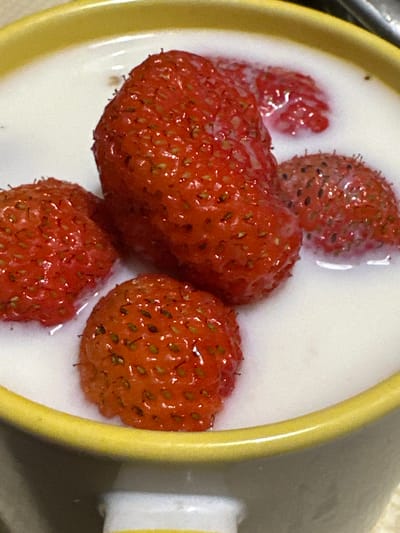 The image shows a close-up, overhead view of a yellow-rimmed bowl filled with milk and several whole strawberries. The strawberries are red and appear to be fresh, with visible seeds on their surface. Some strawberries are partially submerged in the milk, while others are floating on top. The lighting is somewhat dim, creating a soft focus on the scene. The background is out of focus and appears to be a plain surface. There is no indication of the location being Biysk, Russia, or any other specific geographical area, nor are there any people or actions depicted. The scene is static and purely observational.