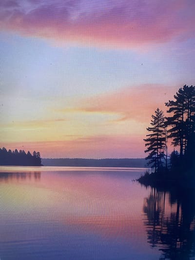 This media file captures a serene, reflective scene at twilight, likely overlooking a body of water. The sky is awash with soft hues of purple, pink, and orange, indicative of a sunset or sunrise. Silhouetted against this colorful sky are the branches and needles of coniferous trees, suggesting a natural, possibly wooded, environment. The trees are also mirrored in the calm water below, creating a symmetrical and tranquil composition. The water's surface is mostly smooth, with subtle ripples that catch the fading light. The overall mood is peaceful and contemplative. There are no visible people or objects, and no text is present. The lighting and atmospheric colors strongly suggest the time of day is either dusk or dawn. Given the context of Samara, Russia, the location could be a lakeside or riverside area within or near the city. The weather appears calm, contributing to the glassy reflection.