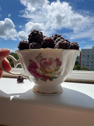 A hand holds the handle of a decorative white teacup filled with dark berries, likely blackberries, which appear to be dusted with frost or sugar. The teacup rests on a white windowsill. A single berry is placed on the windowsill in front of the teacup. The background shows a bright blue sky with fluffy white clouds, a line of trees, and a light-colored apartment building. The overall scene suggests a domestic setting with an outdoor view. The teacup has a floral pattern featuring pink and yellow roses and is edged with gold. The writing on the teacup, though partially obscured, appears to be in script and potentially includes a name or inscription. The image is captured from a low angle, emphasizing the teacup and berries against the sky and building. The scene is lit by sunlight, casting shadows on the windowsill. The presence of the apartment building indicates an urban environment, consistent with the city of Tolyatti, Russia, where such apartment blocks are common.