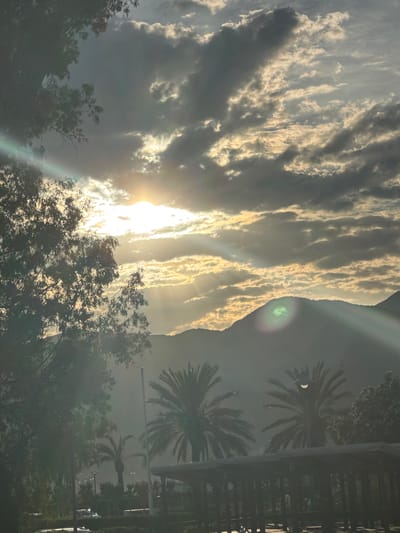 The image depicts a landscape scene captured in the city of Tivat, Montenegro, under a partially cloudy sky during either sunrise or sunset. The sun, positioned on the upper left, is partially obscured by dark grey and golden-white illuminated clouds, casting prominent sun rays and lens flares across the frame. A range of mountains forms the silhouette in the mid-ground, with a distinct green lens flare appearing on the slope of the central mountain. The foreground and mid-ground feature various vegetation: a large, dark-leafed tree occupies the left side, and multiple palm trees are visible towards the right. A white streetlamp stands upright near the center-right, and a dark, covered structure, possibly an outdoor seating area, is situated in the lower right. In the distant background, faint indications of urban infrastructure, including what appear to be streetlights and parked vehicles, are discernible. No identifiable individuals or specific actions are visible. The overall lighting suggests strong backlighting, creating a dramatic atmospheric effect.