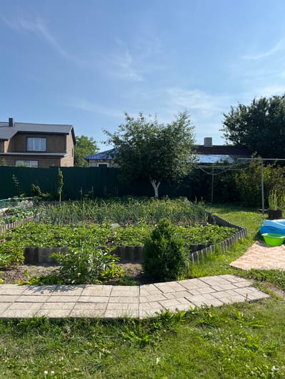 The image depicts a sunny day in a suburban backyard in Navahrudak, Belarus. The yard features a well-tended garden with raised beds overflowing with green plants, likely vegetables such as onions and leafy greens. A small tree with a whitewashed trunk stands in the garden. Beyond the garden, a green metal fence encloses the property, with two residential buildings visible behind it. One building is a two-story house with a dark gray roof, and another is a smaller structure with a blue-tiled roof. In the foreground, a paved pathway made of square concrete tiles leads into the yard. To the right, a blue inflatable pool and a green plastic basin are placed on the grass, suggesting recreational activities. The overall scene is one of a domestic, rural or semi-rural setting with evidence of both gardening and leisure.
