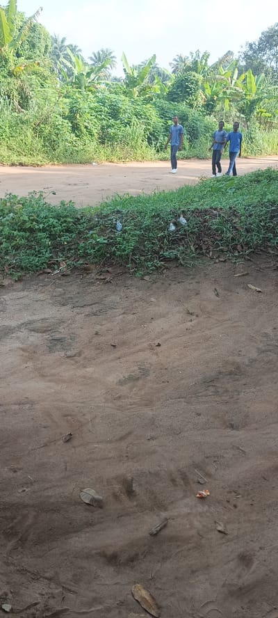 The image depicts a dirt road in Amauzu, Nigeria. Three young men are walking along the road in the background, wearing casual clothes. The road is bordered by dense green vegetation and banana trees. Litter is scattered along the roadside, including plastic bags. The foreground shows a section of dirt ground with scattered leaves and debris.