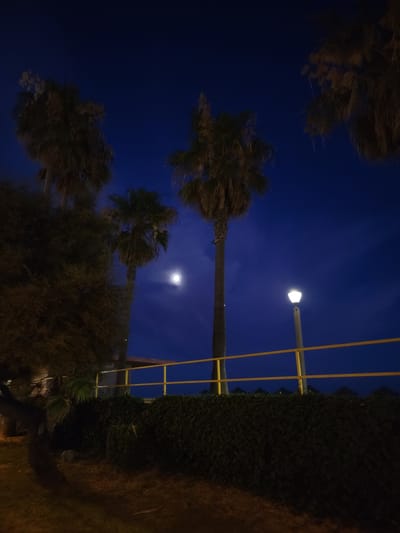 The image depicts a nighttime scene in Quarteira, Portugal, characterized by a deep blue sky with a visible moon. Several palm trees are prominent, with their fronds silhouetted against the night sky. In the foreground, a yellow railing runs horizontally, bordering a dense hedge. A single street lamp with a white light illuminates the scene from the right side of the frame. The ground in the foreground appears to be covered in dry leaves and dirt, with some artificial lighting casting shadows. The overall impression is one of a tranquil, possibly coastal, urban environment at night.