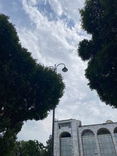 The photograph, taken from a low angle, showcases a cloudy sky with intermittent patches of blue. Two large, dark green trees frame the scene, one on the left and one on the right, their foliage creating a natural archway. In the center, a black lamppost with a single light fixture stands tall, its curved arm reaching towards the sky. Below the lamppost, the upper section of a light-colored, marble-clad building is visible. The building features a series of arched windows on its upper floors, some of which are partially obscured by the trees. The architecture suggests a public or governmental building. The overall impression is one of an urban setting, possibly a park or a street lined with trees and distinguished architecture, under a somewhat overcast sky. The location is identified as Bishkek City, Kyrgyzstan.