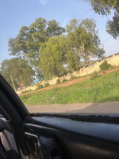 The image shows a view from inside a vehicle, looking out at a street scene in Kuru Dungus, Nigeria. Tall trees with green foliage dominate the upper portion of the image, with a clear blue sky visible. A cream-colored wall runs horizontally across the middle ground, with some vegetation growing on and around it. Beyond the wall, hints of buildings and structures can be seen. The foreground is occupied by the interior of the car, including the door panel and window frame, obscuring the lower part of the scene. A paved road is visible in the lower right quadrant, with a strip of green grass next to it. The overall impression is of a rural or semi-urban environment with abundant vegetation. There are no people or animals visible in the frame.