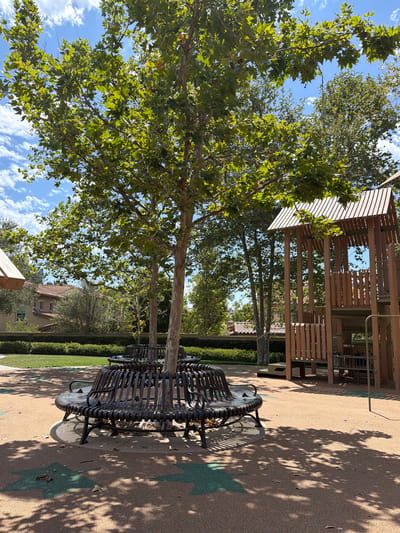 The image captures a sun-drenched park scene, likely located in the city of Irvine, United States of America, on a clear day with scattered clouds. In the foreground, two circular, dark metal benches encircle the base of a large sycamore tree. The benches have a slatted design and appear to be part of a playground or recreational area. The ground is a light brown, textured surface with faint, green star-shaped patterns embedded within it, casting dappled shadows from the tree's leaves.
To the right, a multi-level wooden playground structure stands prominently. It features a slatted roof, railings, and platforms, suggesting it is designed for children's play. Behind the playground and benches, a dense line of green trees and shrubs creates a natural backdrop. In the distance, beyond the foliage, residential buildings with terracotta tile roofs are visible, indicating the park is situated within a developed neighborhood. The overall atmosphere is tranquil and inviting, bathed in natural light. There are no people or animals visible in the scene.